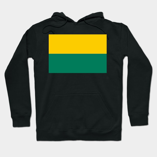 Flag of The Hague, the capital of the province of South Holland (Netherlands / Dutch) Hoodie by Ziggy's